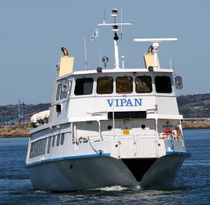 MS_Vipan